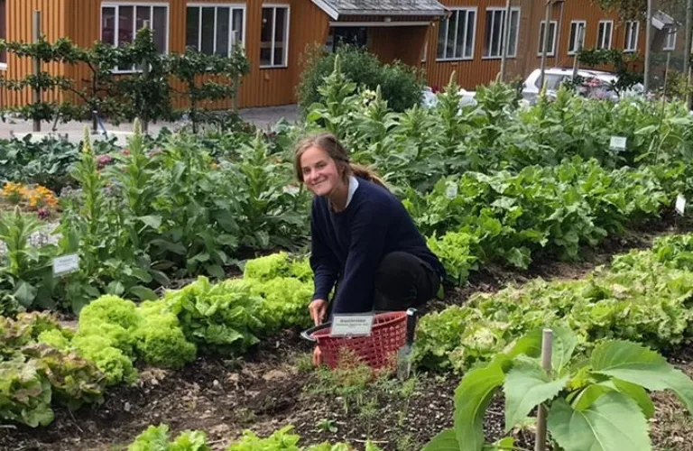 Sara Hansdotter ansatt som rådgiver i NORSØK fra høsten 2022
