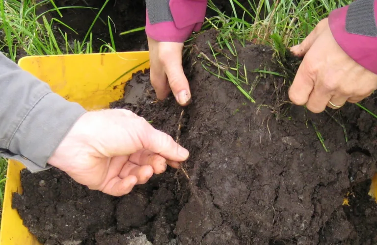 Opptrapping av arbeid innen økologisk landbruk