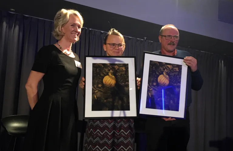 Hedret for jordinnsats