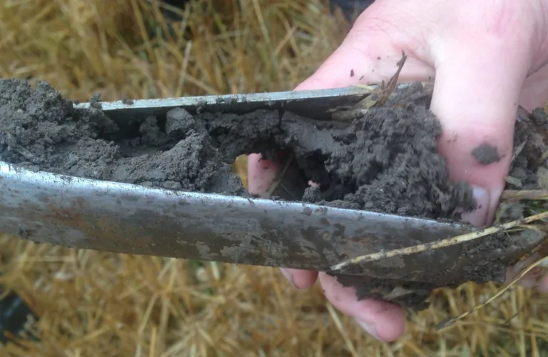 Carbon for farmers good