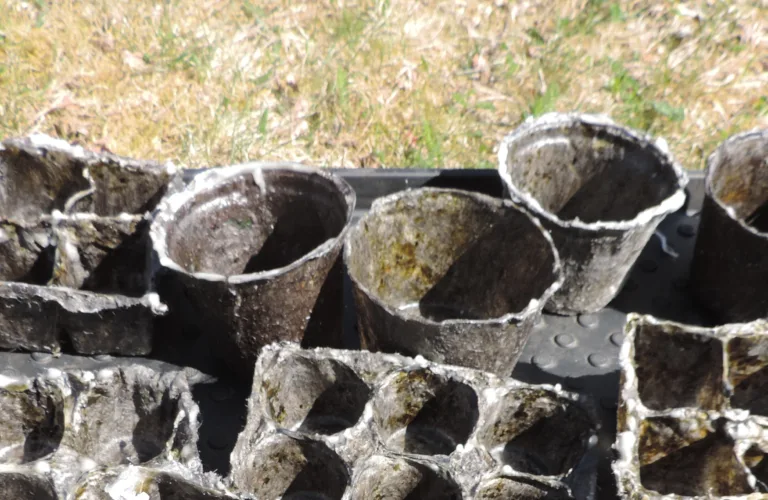 Woolly Pot - reducing the use of plastic in Norwegian nurseries