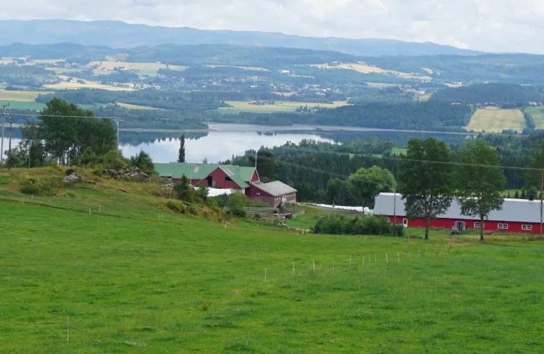 Soil Carbon Trøndelag