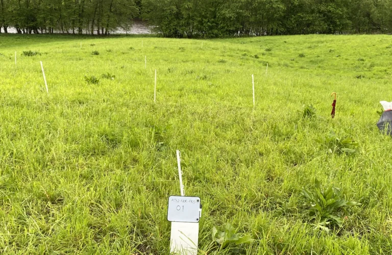 Jord og regenerativt landbruk: Hva kan økologisk jordbruk bidra med og lære. Jord og regenerativt landbruk: Hva kan økologisk jordbruk bidra med og lære.