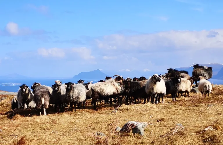 Creating synergies and added value between regional maritime and agricultural research environments