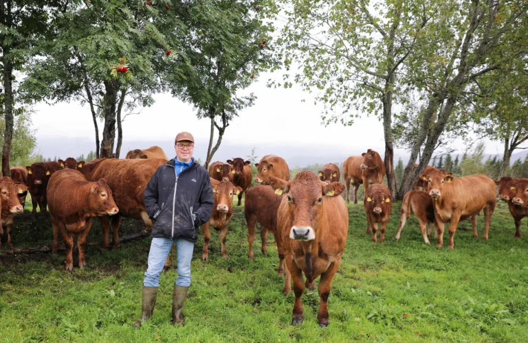 Nettverksbygging og kunnskapsutveksling ved omlegging til økologisk produksjon