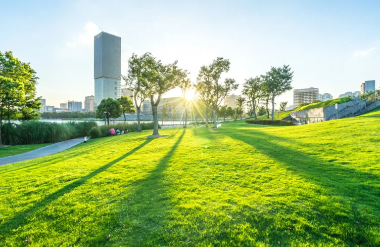 Bønder og byen : Symbiose eller eksistensiell konflikt?