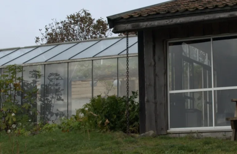 Tomato and cucumber production organically with ground contact in greenhouse