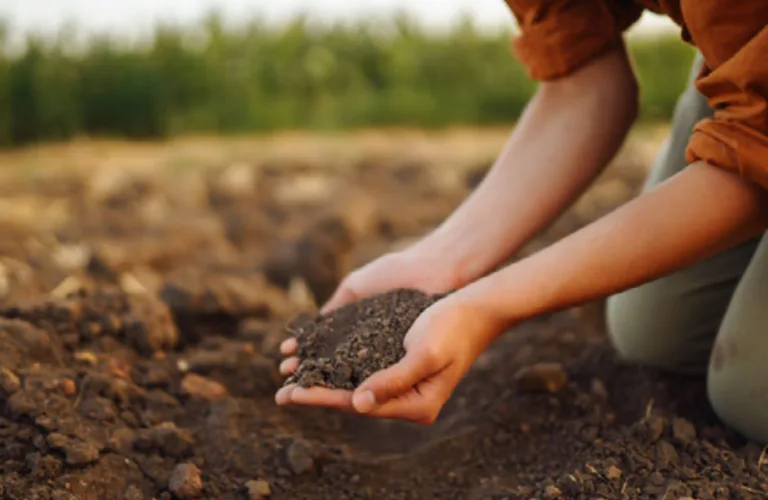 Bedre metoder for styrket karbonlagring og reduserte klimautslipp (C-arouNd) Bedre metoder for styrket karbonlagring og reduserte klimautslipp (C-arouNd)