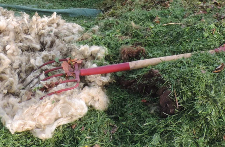 VerdifULL: How can we boost the value of lower-grade wool and increase the share of first-class wool?