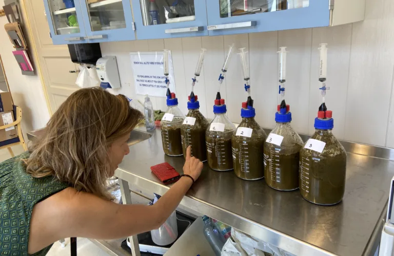 Can lime reduce greenhouse gas emissions from cattle manure?