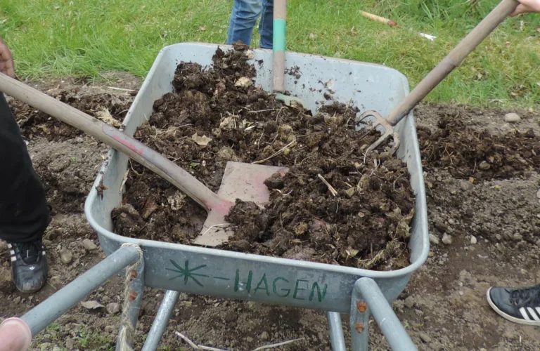 Increasing awareness of the pedagogical value of school gardens in Møre og Romsdal