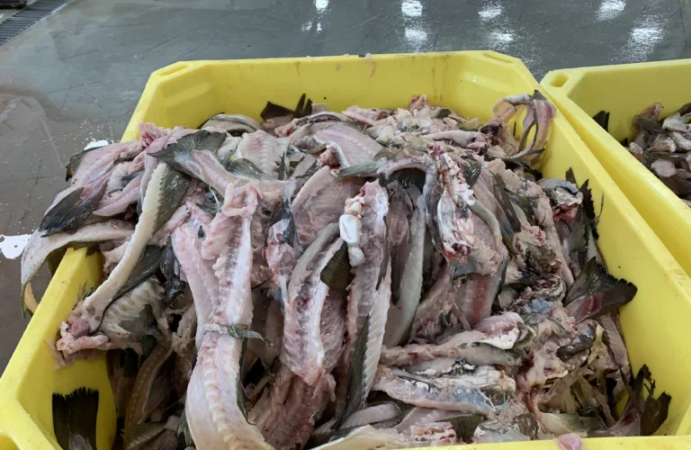 Circularity and industrial collaboration across Møre og Romsdal county