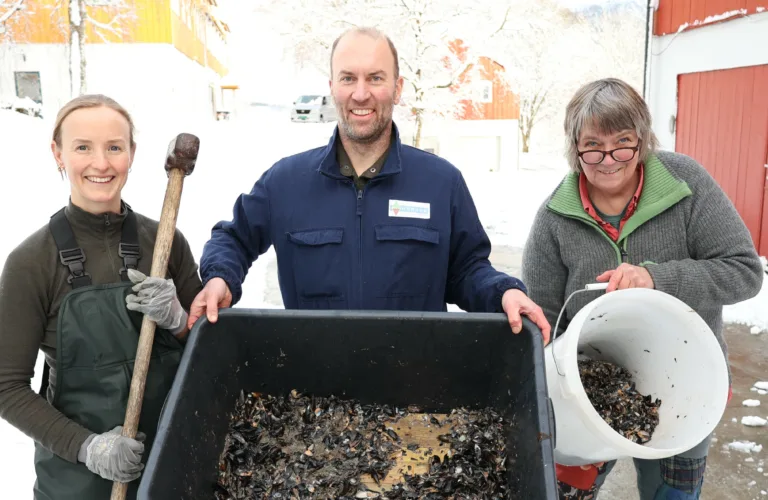 Compost from blue mussel residues