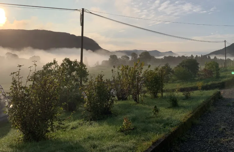 Kunnskap og inspirasjon for gamle og nye økobønder på vakre Opaker gård