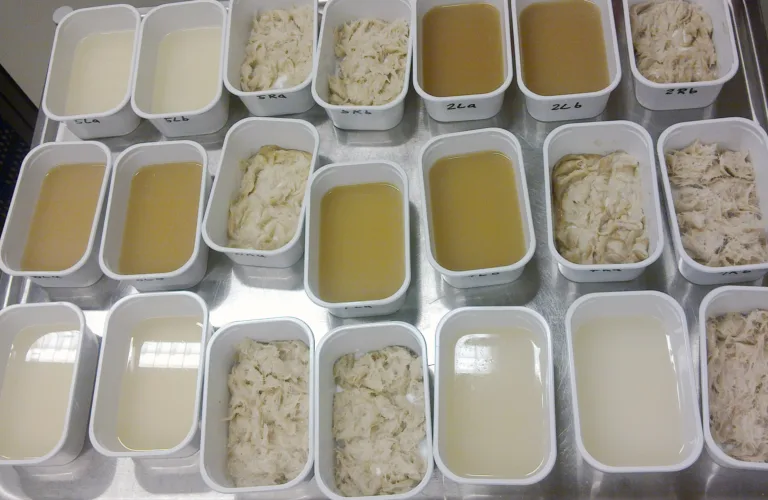 Total Utilization of Raw Materials in the Supply Chain for Food with a Bio-economical Perspective (CYCLE) )