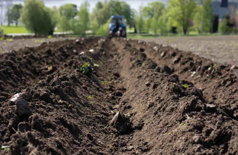Write a Bachelor's or Master's Thesis as Part of a Research Project: Explore the Potential of Circular Economy in Norwegian Potato Farming