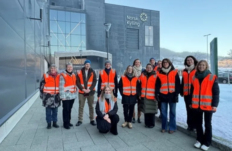 Innovativ og optimalisert utnyttelse av fjær