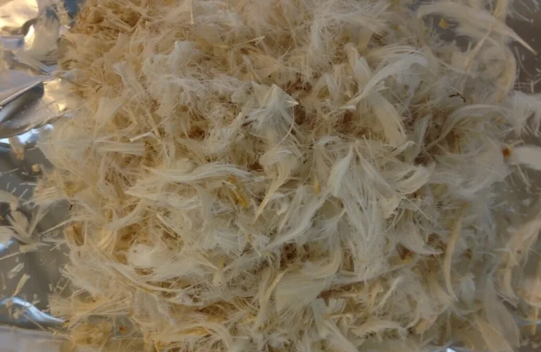 Innovativ og optimalisert utnyttelse av fjær