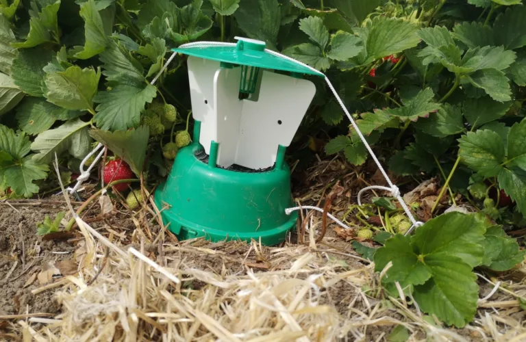 Ny Giv! - for billekontroll i jordbæråkeren