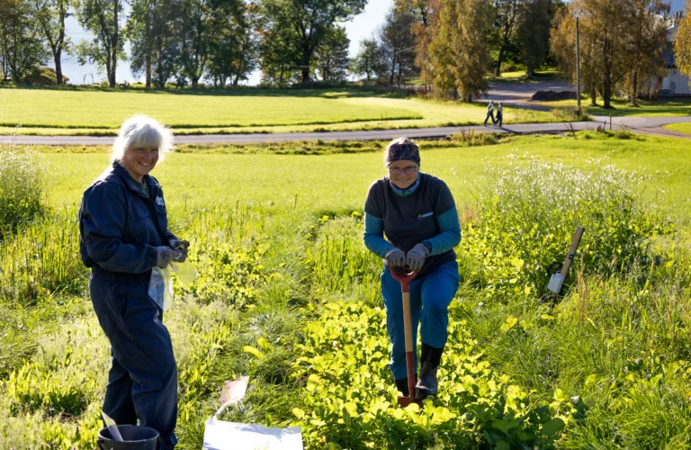 Møt NORSØK på festivaler og markdager i høst Møt NORSØK på festivaler og markdager i høst