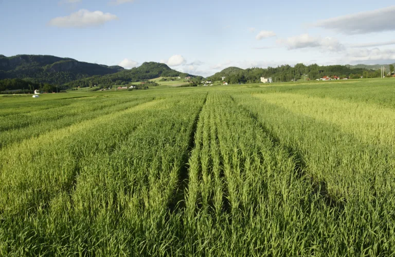 Åpen temadag om jordvern 