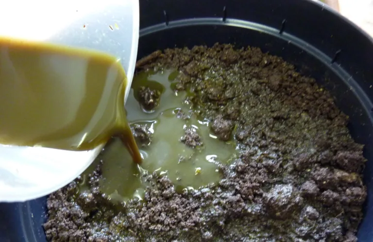 Råtnerest fra biogassanleggsom gjødsel