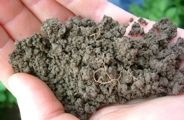 Helhetlig jordvurdering  - HelJord