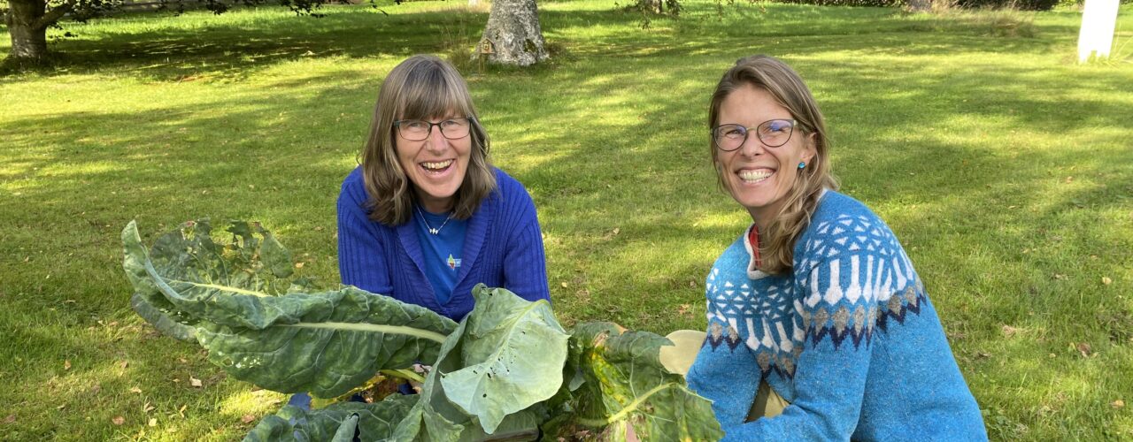 Forskerne Sissel Hansen og Tatiana Rittl holder kålblader. Sammen med en rekke nasjonale og internasjonale samarbeidspartnere har de vært med å finne ut at  denne typen friske og umodne planterester gir store utslipp av den sterke klimagassen lystgass. (Foto: Solveig Johnsen)