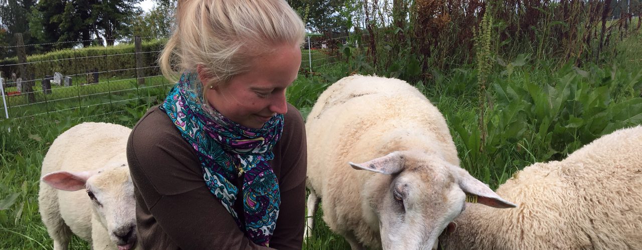 Juni Rosann Johanssen vil i samarbeid med Kristin Sørheim, Norsk Landbruksrådgivning, Norsk Sau og Geit og Debio komme med praktiske og økonomiske gjennomførbare løsninger som kan motivere til å fortsette med økologisk saueproduksjon. (Foto: Anita Land)