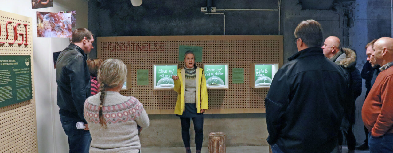 RESIEN I JORDEN: Rådgiver Maria Båtnes guider gjestene gjennom utstillingen "Reisen i Jorden" på opplevelsessenteret Tingvoll Økopark, som også ligger på Tingvoll gard. (Foto: Vegard Botterli)