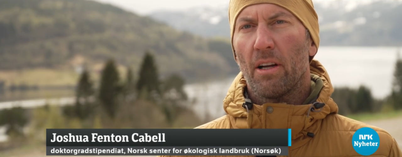 PhD-stipendiat Joshua Cabell komposterer marine restråstoff som tang og fiskrester for å lage fornybar gjødsel. Her fra et TV-intervju om prosjektet i NRK Nyheter. (Foto: Erik Haukenes/NRK)