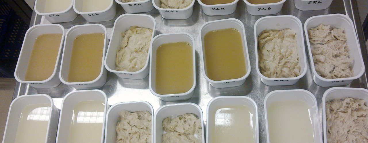 Cycle 1 Kyllingfjær består hovedsakelig av keratin, et protein som er tungt oppløselig. Gjennom trykkoking og tilsetning av lut eller salter kan fjærene likevel løses opp i større eller mindre grad, slik vi ser på disse bildene av oppløste fjær og ikke-oppløste restfraksjoner. Fordøyeligheten av protein forbedres i både i den løselige fraksjonen og i restfraksjonen. (Foto: Steffen Adler, NIBIO)
