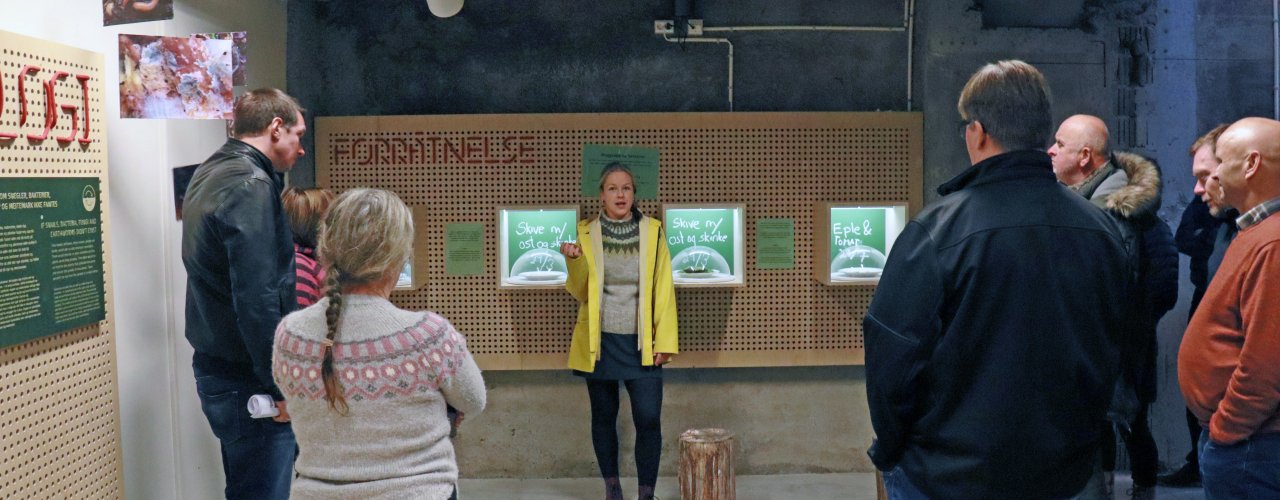 Img 4021 RESIEN I JORDEN: Rådgiver Maria Båtnes guider gjestene gjennom utstillingen "Reisen i Jorden" på opplevelsessenteret Tingvoll Økopark, som også ligger på Tingvoll gard. (Foto: Vegard Botterli)