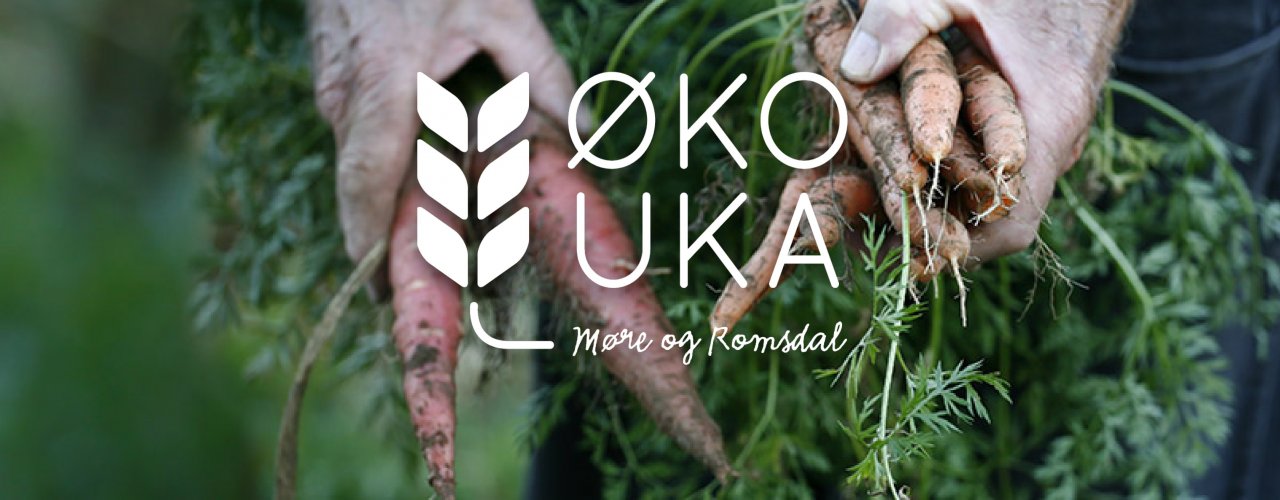 Header Moreog Romsdal 1 Header Moreog Romsdal 1