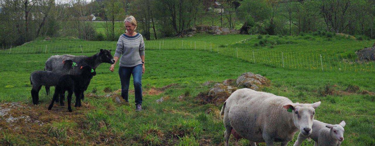 Kjersti Berge 1 Foto Ronja Svenning Berge Kjersti Berge er fagkoordinator økologisk i Norsk Landbruksrådgiving (NLR) og leder av hovedkomiteen for Øko 2020. (Foto: Ronja Svenning Berge)
