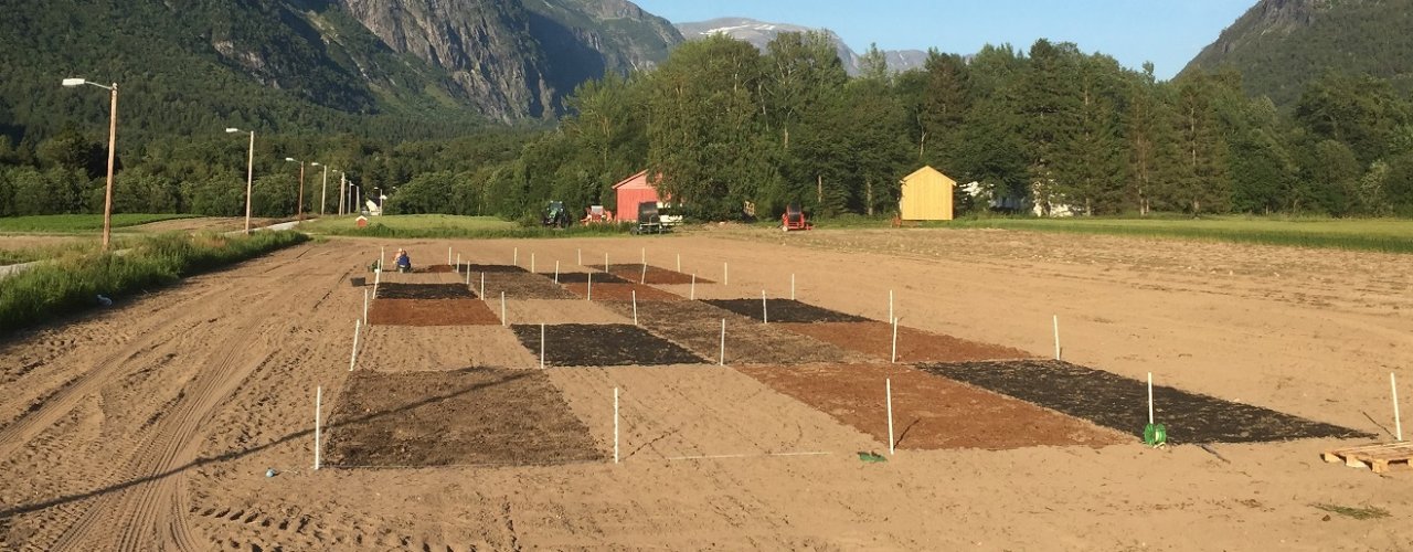 Forsøksfelt På Grøa Overview of the field experiment. Treatments in the front from left to right: solid digestate, control (none), horse manure and biochar mixed with liquid digestate. (Foto: Tatiana Rittl)