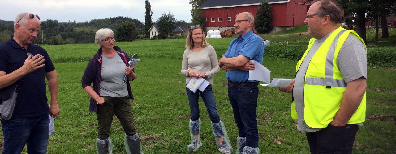 Potetgivmøte I Levanger Fra venstre Per Møllerhagen, NIBIO Apelsvoll- Olaug Bach NLR Trøndelag- Gunhild Halvorsen FMLA Trøndelag-Jostein Trøite, kårkall og leder av Økologisk Norge, og Elling Munkeby, potetdyrker i Levanger (Foto: Anne- Kristin Løes)