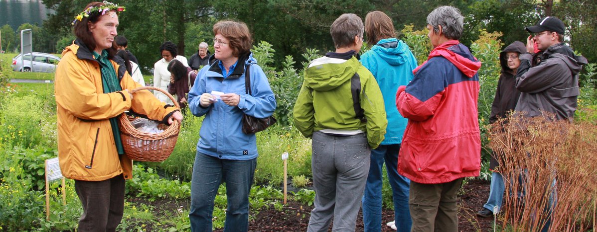 Foto Anita Land Bioforsk 1 Of 1 Kjøkkenhagedag i Stjernehagen på Tingvollgard (Photo: Anita Land)
